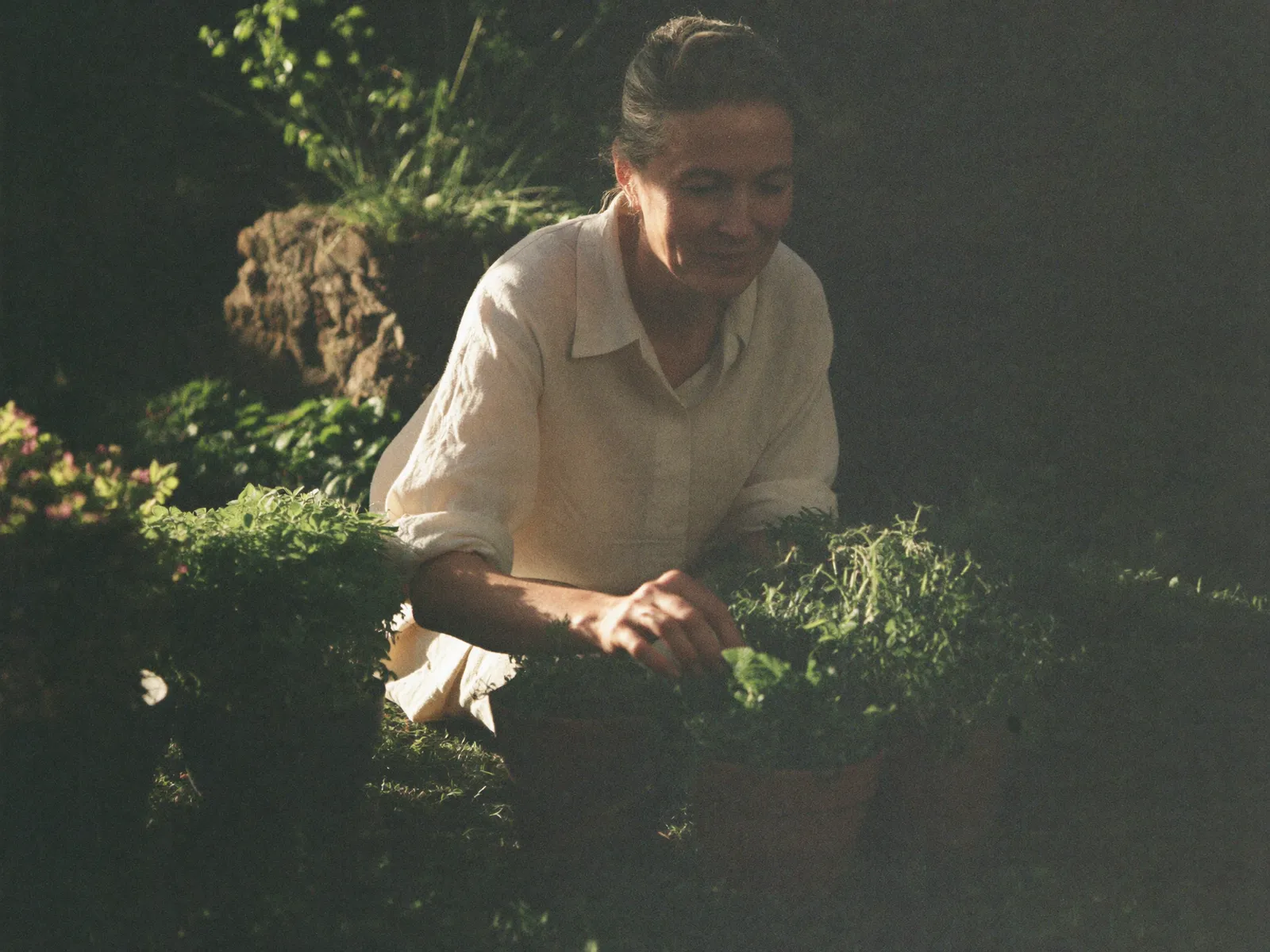 A woman in her fifties tending potted herbs in a sunlit garden